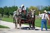 Kline Creek Farm Percherons